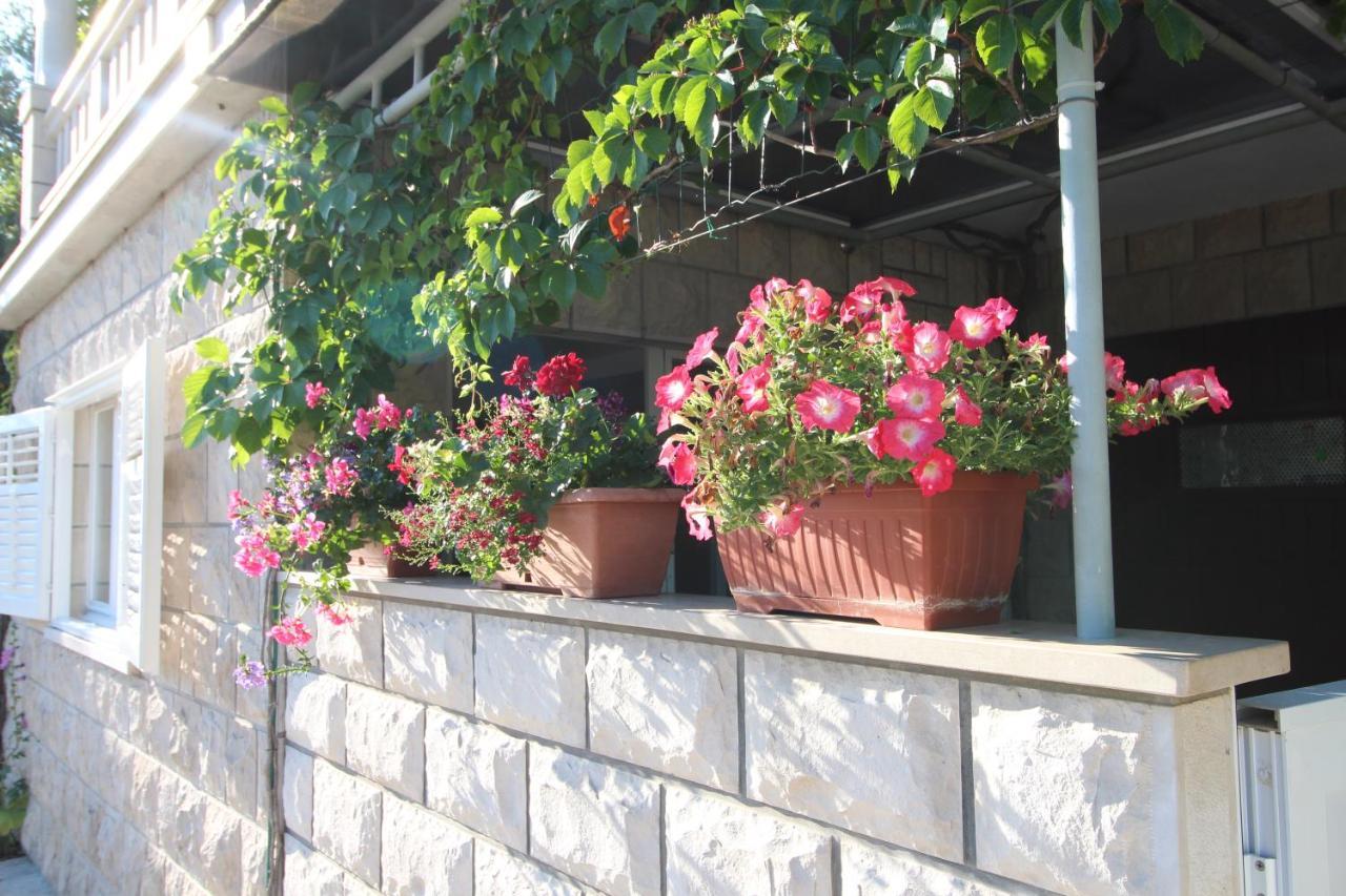 Apartment Ruzica Zrnovo Esterno foto